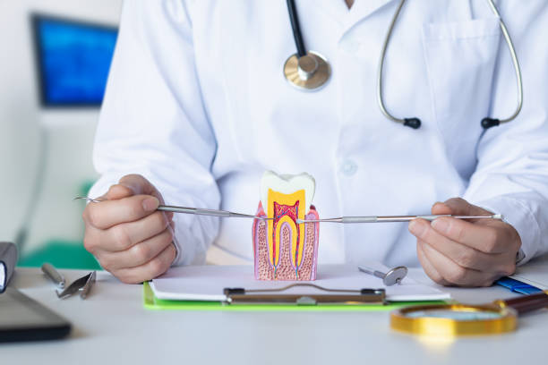 Best Chipped Tooth Repair Near Me  in Pomona Park, FL